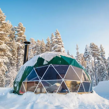 Jeris Aurora Dome *
